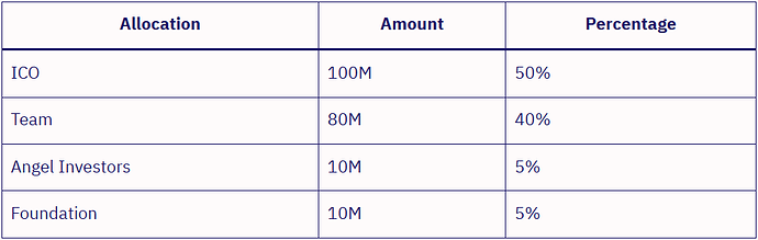 BNB initial allocation